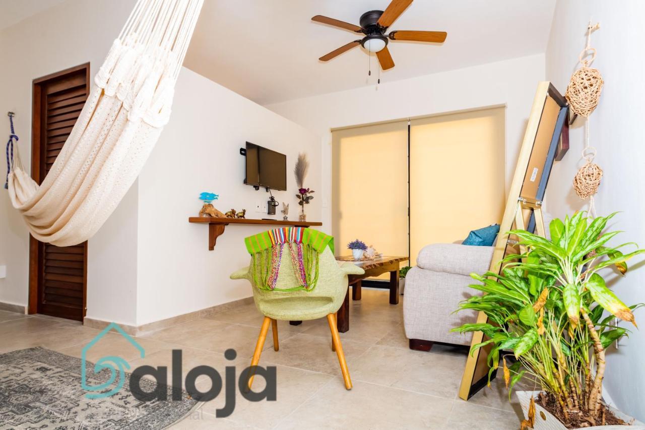 Ideal Estudios Calidos Y Acogedores كانكون المظهر الخارجي الصورة